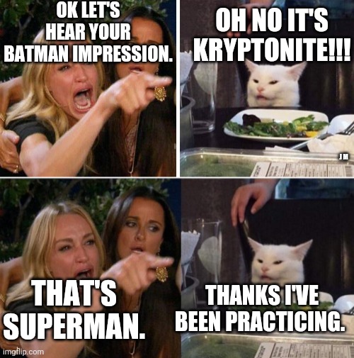  OK LET'S HEAR YOUR BATMAN IMPRESSION. OH NO IT'S KRYPTONITE!!! J M; THANKS I'VE BEEN PRACTICING. THAT'S SUPERMAN. | image tagged in smudge the cat,memes,woman yelling at cat | made w/ Imgflip meme maker