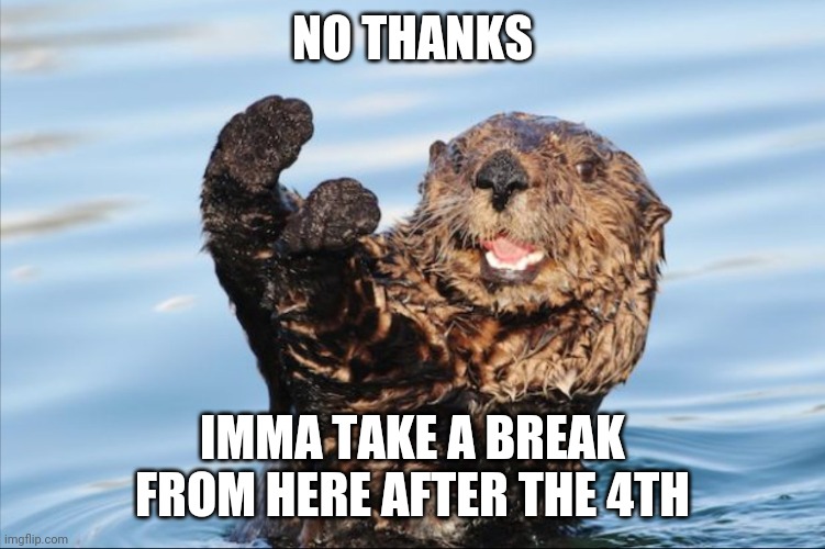 NO THANK YOU | NO THANKS IMMA TAKE A BREAK FROM HERE AFTER THE 4TH | image tagged in no thank you | made w/ Imgflip meme maker