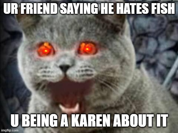 the lolcats be like | UR FRIEND SAYING HE HATES FISH; U BEING A KAREN ABOUT IT | image tagged in lolcat | made w/ Imgflip meme maker