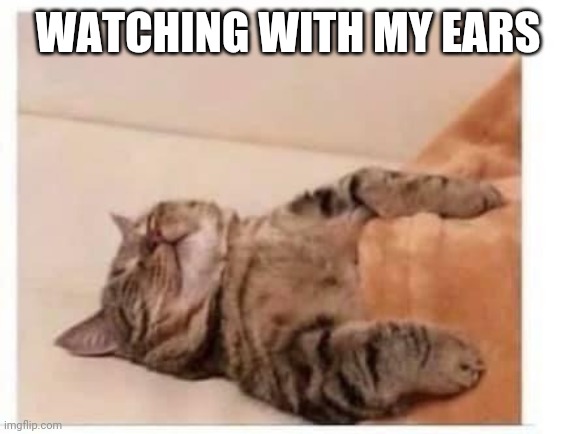 WATCHING WITH MY EARS | made w/ Imgflip meme maker