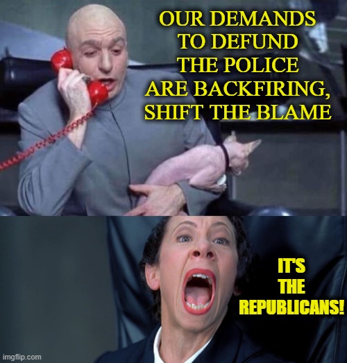 Dr Evil and Frau | OUR DEMANDS TO DEFUND THE POLICE ARE BACKFIRING, SHIFT THE BLAME; IT'S THE REPUBLICANS! | image tagged in dr evil and frau | made w/ Imgflip meme maker