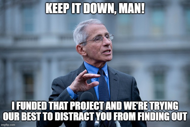 Fauci | KEEP IT DOWN, MAN! I FUNDED THAT PROJECT AND WE'RE TRYING OUR BEST TO DISTRACT YOU FROM FINDING OUT | image tagged in fauci | made w/ Imgflip meme maker