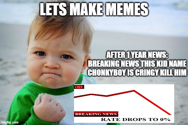 im on the news | LETS MAKE MEMES; AFTER 1 YEAR NEWS: BREAKING NEWS THIS KID NAME CHONKYBOY IS CRINGY KILL HIM | image tagged in memes,success kid original | made w/ Imgflip meme maker