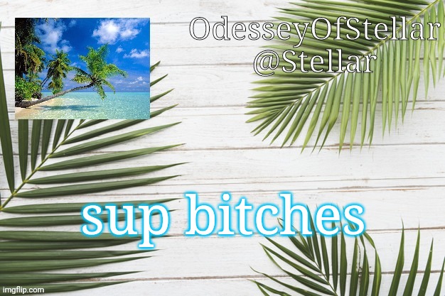 palms | sup bitches | image tagged in palms | made w/ Imgflip meme maker