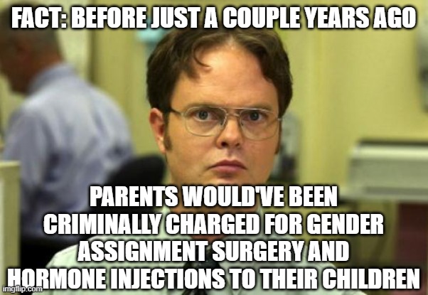 Dwight Schrute Meme | FACT: BEFORE JUST A COUPLE YEARS AGO PARENTS WOULD'VE BEEN CRIMINALLY CHARGED FOR GENDER ASSIGNMENT SURGERY AND HORMONE INJECTIONS TO THEIR  | image tagged in memes,dwight schrute | made w/ Imgflip meme maker