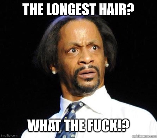Katt Williams WTF Meme | THE LONGEST HAIR? WHAT THE FUCK!? | image tagged in katt williams wtf meme | made w/ Imgflip meme maker