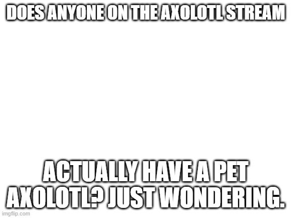 Blank White Template | DOES ANYONE ON THE AXOLOTL STREAM; ACTUALLY HAVE A PET AXOLOTL? JUST WONDERING. | image tagged in blank white template | made w/ Imgflip meme maker