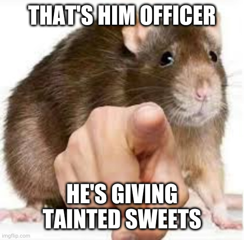 Pointing Rat | THAT'S HIM OFFICER; HE'S GIVING TAINTED SWEETS | image tagged in pointing rat | made w/ Imgflip meme maker