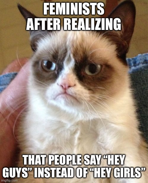 Grumpy Cat | FEMINISTS AFTER REALIZING; THAT PEOPLE SAY “HEY GUYS” INSTEAD OF “HEY GIRLS” | image tagged in memes,grumpy cat | made w/ Imgflip meme maker