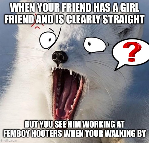 Confusion | WHEN YOUR FRIEND HAS A GIRL FRIEND AND IS CLEARLY STRAIGHT; BUT YOU SEE HIM WORKING AT FEMBOY HOOTERS WHEN YOUR WALKING BY | image tagged in furry memes,furry,confused,fox,hooters | made w/ Imgflip meme maker