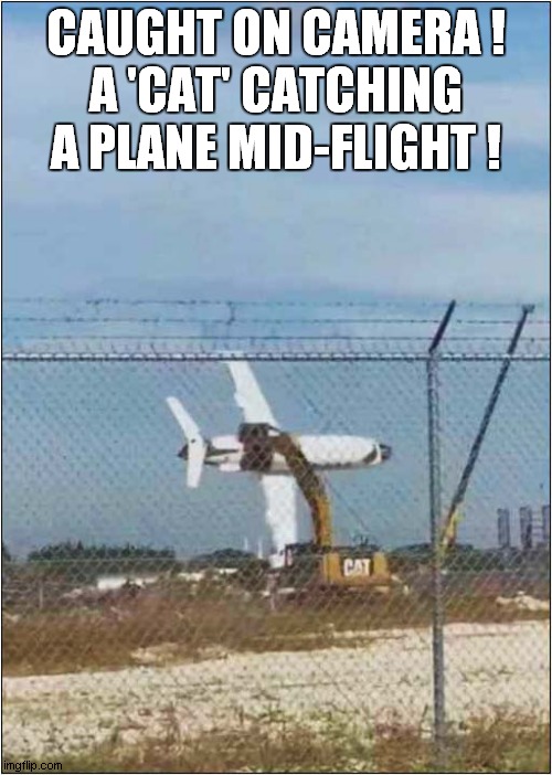 A Clever 'Cat' Catching ! | CAUGHT ON CAMERA !
A 'CAT' CATCHING A PLANE MID-FLIGHT ! | image tagged in fun,visual pun,cat,catch,plane | made w/ Imgflip meme maker