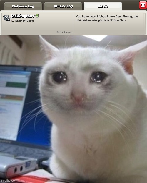 I go camping for 4 days and this happens | image tagged in crying cat | made w/ Imgflip meme maker