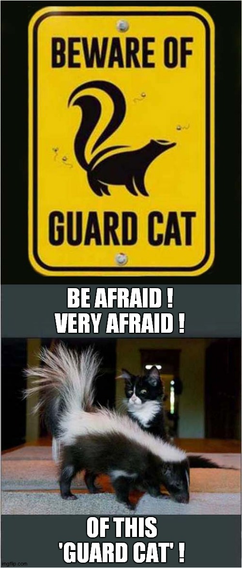 You Were Warned ! | BE AFRAID !
VERY AFRAID ! OF THIS 'GUARD CAT' ! | image tagged in sign,skunk,fear,cat | made w/ Imgflip meme maker