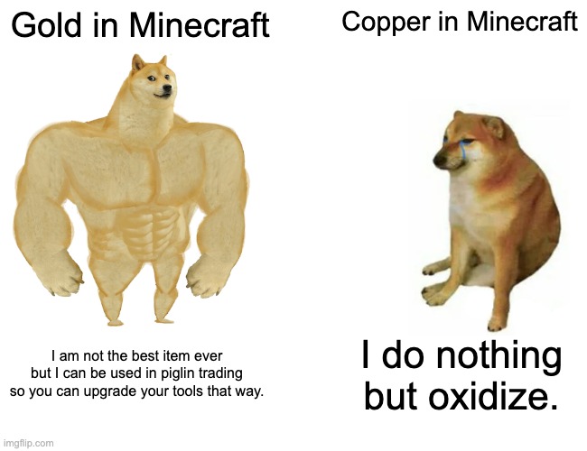 Minecraft gold vs copper | Gold in Minecraft; Copper in Minecraft; I am not the best item ever but I can be used in piglin trading so you can upgrade your tools that way. I do nothing but oxidize. | image tagged in memes,buff doge vs cheems | made w/ Imgflip meme maker