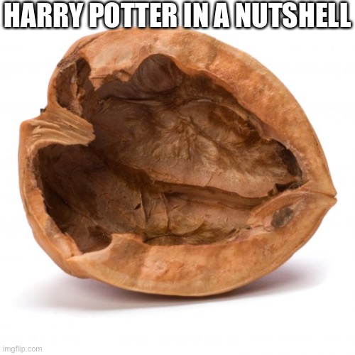 Nutshell | HARRY POTTER IN A NUTSHELL | image tagged in nutshell | made w/ Imgflip meme maker