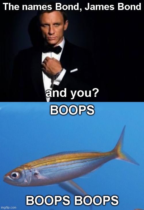 BOOPS BOOPS | image tagged in fish,james bond,007,why did i make this,barney will eat all of your delectable biscuits,memes | made w/ Imgflip meme maker
