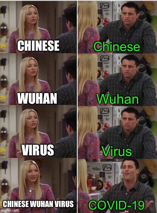 Stupid liberals! | CHINESE; Chinese; Wuhan; WUHAN; VIRUS; Virus; CHINESE WUHAN VIRUS; COVID-19 | image tagged in phoebe joey,chinese wuhan virus,covid-19 | made w/ Imgflip meme maker