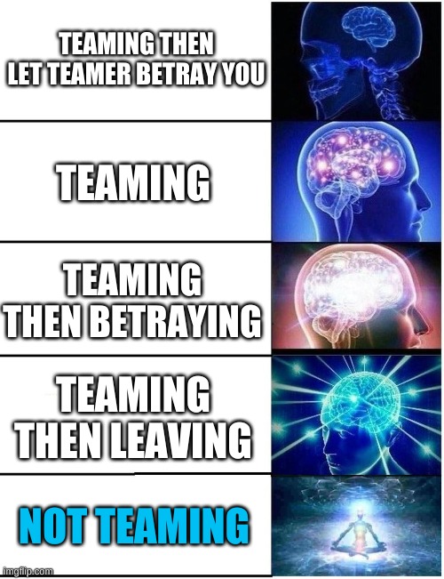 Expanding Brain 5 Panel | TEAMING THEN LET TEAMER BETRAY YOU; TEAMING; TEAMING THEN BETRAYING; TEAMING THEN LEAVING; NOT TEAMING | image tagged in expanding brain 5 panel | made w/ Imgflip meme maker