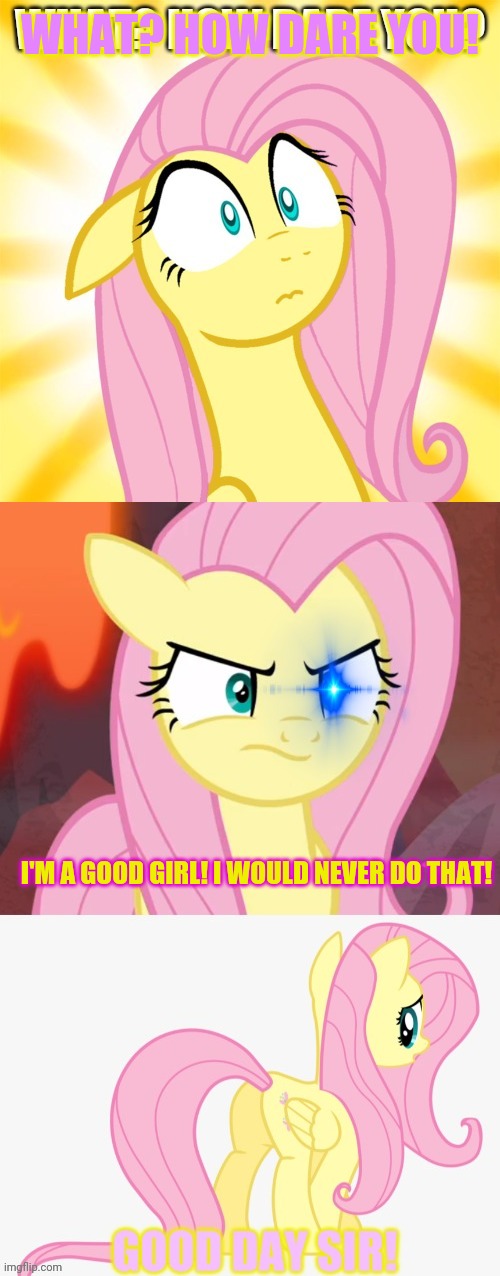 Flutter finally gets an internet connection & immediately regrets it! | WHAT? HOW DARE YOU! I'M A GOOD GIRL! I WOULD NEVER DO THAT! | image tagged in internet,fluttershy,my little pony,but why why would you do that,first day on the internet kid | made w/ Imgflip meme maker