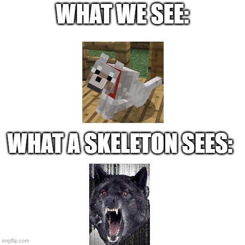 Blank Transparent Square | WHAT WE SEE:; WHAT A SKELETON SEES: | image tagged in memes,blank transparent square | made w/ Imgflip meme maker