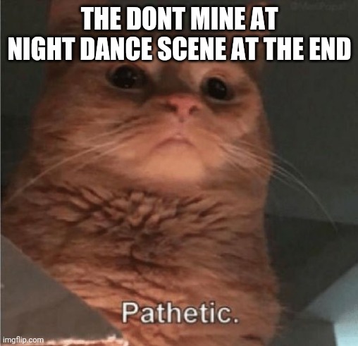 Pathetic Cat | THE DONT MINE AT NIGHT DANCE SCENE AT THE END | image tagged in pathetic cat | made w/ Imgflip meme maker