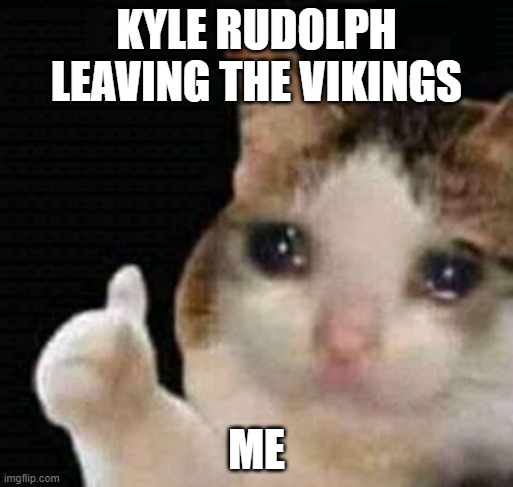 sad thumbs up cat | KYLE RUDOLPH LEAVING THE VIKINGS; ME | image tagged in sad thumbs up cat | made w/ Imgflip meme maker