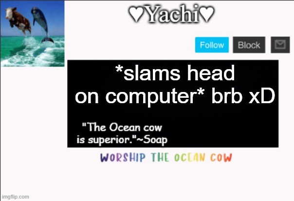 Yachi's ocean cow temp | *slams head on computer* brb xD | image tagged in yachi's ocean cow temp | made w/ Imgflip meme maker