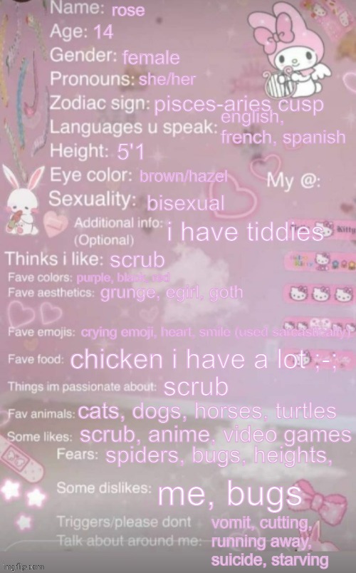 this is a template | rose; 14; female; she/her; pisces-aries cusp; english, french, spanish; 5'1; brown/hazel; bisexual; i have tiddies; scrub; purple, black, red; grunge, egirl, goth; crying emoji, heart, smile (used sarcastically); chicken i have a lot ;-;; scrub; cats, dogs, horses, turtles; scrub, anime, video games; spiders, bugs, heights, me, bugs; vomit, cutting, running away, suicide, starving | image tagged in this is a template | made w/ Imgflip meme maker