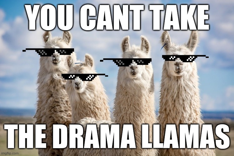 The Drama Llamas |  YOU CANT TAKE; THE DRAMA LLAMAS | image tagged in so much drama,total drama,total dramarama,llamas,deal with it | made w/ Imgflip meme maker