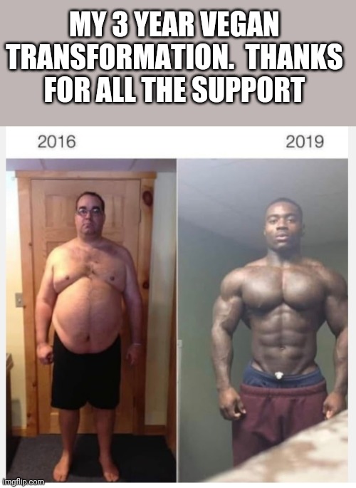 MY 3 YEAR VEGAN TRANSFORMATION.  THANKS FOR ALL THE SUPPORT | image tagged in funny memes | made w/ Imgflip meme maker