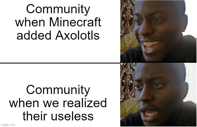 axe a lotl | Community when Minecraft added Axolotls; Community when we realized their useless | image tagged in disappointed black guy | made w/ Imgflip meme maker