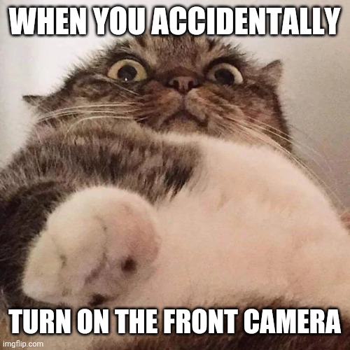 Front cam cat | WHEN YOU ACCIDENTALLY; TURN ON THE FRONT CAMERA | image tagged in memes,cats,funny cats,funny memes,lol so funny,camera | made w/ Imgflip meme maker