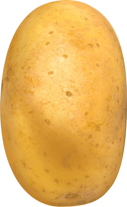 High Quality Potato png Blank Meme Template