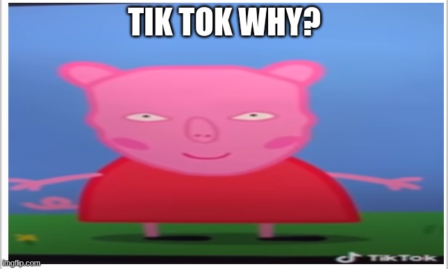 tik tok will go to HELL | TIK TOK WHY? | image tagged in help me | made w/ Imgflip meme maker