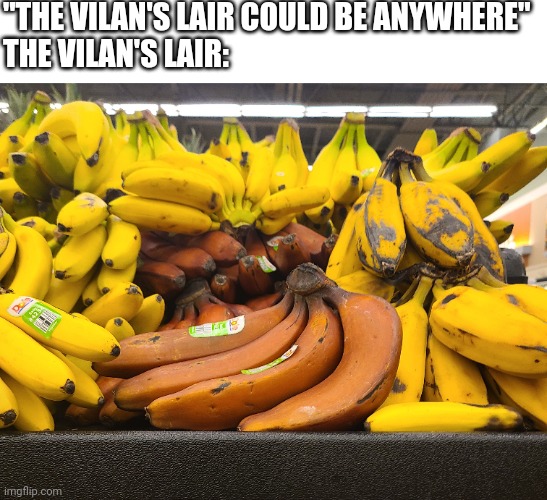 Where is it? | "THE VILAN'S LAIR COULD BE ANYWHERE"
THE VILAN'S LAIR: | image tagged in meme | made w/ Imgflip meme maker