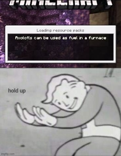 Hold Up, Wait a Minute! | image tagged in fallout hold up,minecraft,memes,gaming | made w/ Imgflip meme maker