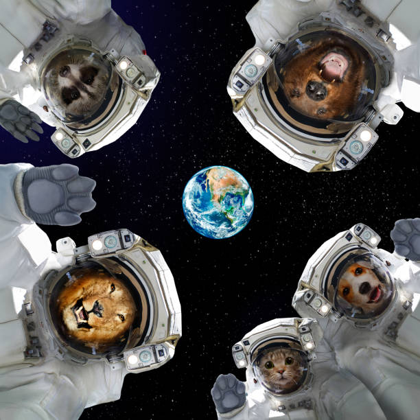 Animals astronauts  cat, dogs, lion, raccoon in space Blank Meme Template