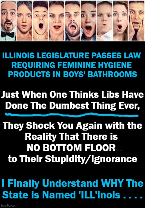 In Search of Something MORE DUMB Than the Last Clearly STUPID CHANGE by Leftists? Well, Here It Is.... | ILLINOIS LEGISLATURE PASSES LAW 
REQUIRING FEMININE HYGIENE 
PRODUCTS IN BOYS' BATHROOMS; Just When One Thinks Libs Have
Done The Dumbest Thing Ever, They Shock You Again with the
Reality That There is 
NO BOTTOM FLOOR 
to Their Stupidity/Ignorance; I Finally Understand WHY The
State is Named 'ILL'inois . . . . | image tagged in political meme,liberals,leftists,democrats,progressives | made w/ Imgflip meme maker