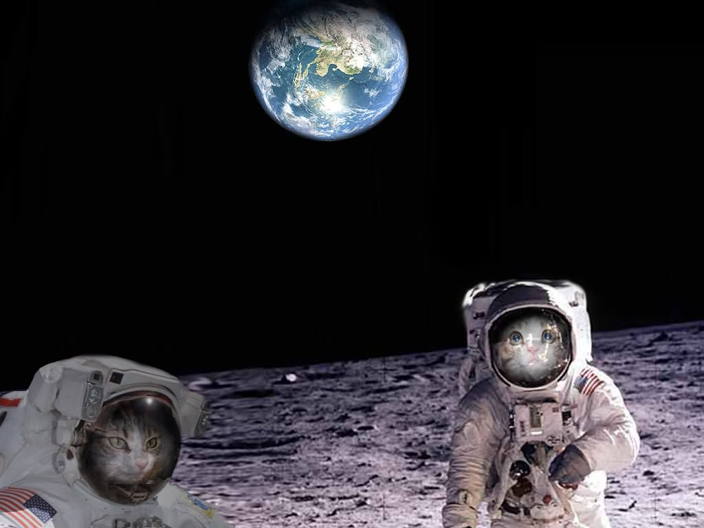 High Quality Kitty Cats astronauts space on moon Blank Meme Template