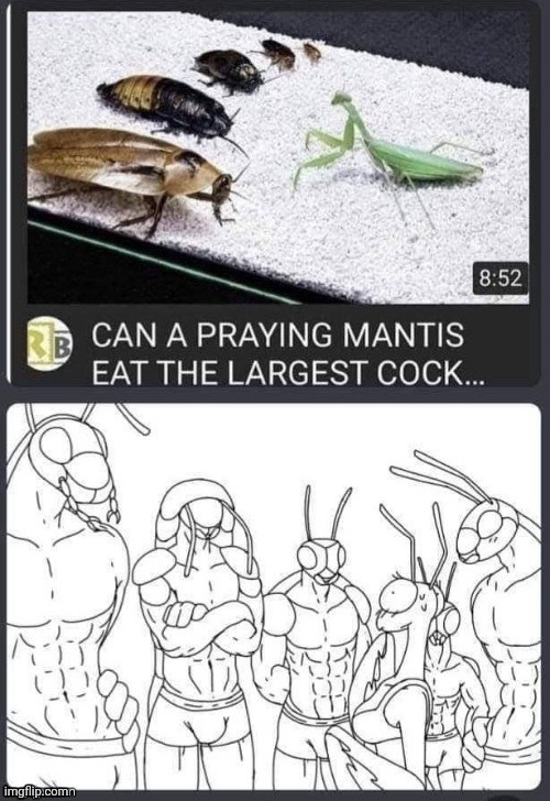 Always post this once in a day | made w/ Imgflip meme maker