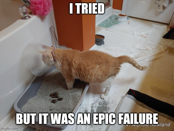 Epic Failure | I TRIED; BUT IT WAS AN EPIC FAILURE | image tagged in litter box failure | made w/ Imgflip meme maker