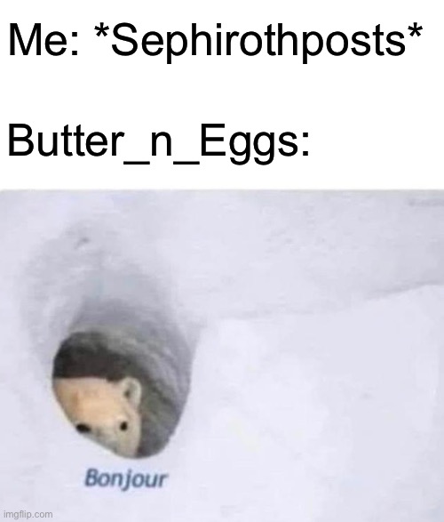 Don’t really intend to hurt anyone | Me: *Sephirothposts*; Butter_n_Eggs: | image tagged in bonjour,sephiroth | made w/ Imgflip meme maker