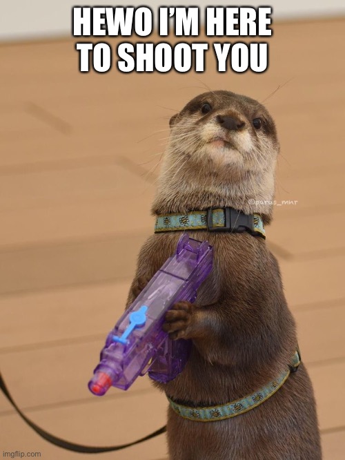 Otter with water gun | HEWO I’M HERE TO SHOOT YOU | image tagged in otter with water gun | made w/ Imgflip meme maker