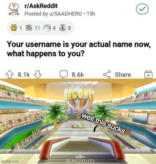 well this sucks | image tagged in coconut mall | made w/ Imgflip meme maker