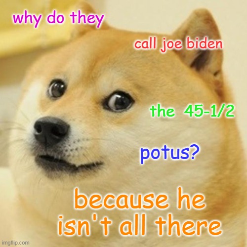senile | why do they; call joe biden; the  45-1/2; potus? because he isn't all there | image tagged in memes,doge,alzheimer's,politics | made w/ Imgflip meme maker