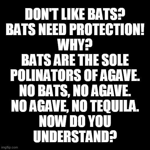 No bats, no agave. | DON'T LIKE BATS?
BATS NEED PROTECTION!
WHY?
BATS ARE THE SOLE
POLINATORS OF AGAVE.
NO BATS, NO AGAVE.
NO AGAVE, NO TEQUILA.
NOW DO YOU
UNDERSTAND? | image tagged in memes,bats,tequila | made w/ Imgflip meme maker