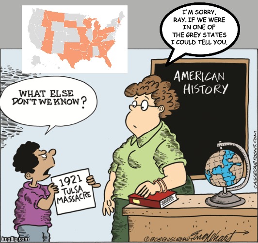 So . . . the agenda is clear . . . | I'M SORRY, RAY. IF WE WERE IN ONE OF THE GREY STATES I COULD TELL YOU. | image tagged in education,history,racism,comics/cartoons | made w/ Imgflip meme maker