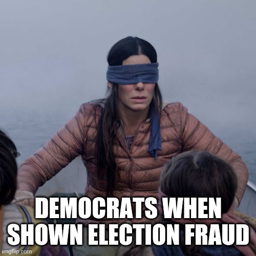 Bird Box Meme | DEMOCRATS WHEN SHOWN ELECTION FRAUD | image tagged in memes,bird box | made w/ Imgflip meme maker
