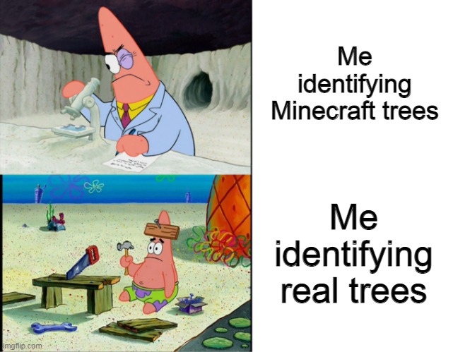 Every Minecraft player in a nutshell: |  Me identifying Minecraft trees; Me identifying real trees | image tagged in smart patrick vs dumb patrick,minecraft,tree,memes | made w/ Imgflip meme maker