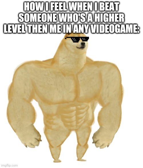 I feel so...powerfull | HOW I FEEL WHEN I BEAT SOMEONE WHO'S A HIGHER LEVEL THEN ME IN ANY VIDEOGAME: | image tagged in buff doge,memes,meme,how i feel,video games,me | made w/ Imgflip meme maker